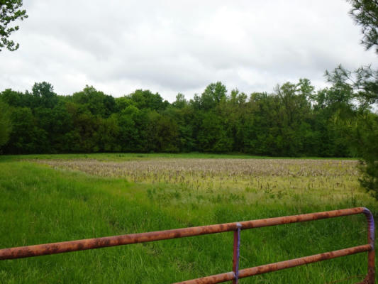TBD E STATE ROAD 10, KNOX, IN 46534 - Image 1