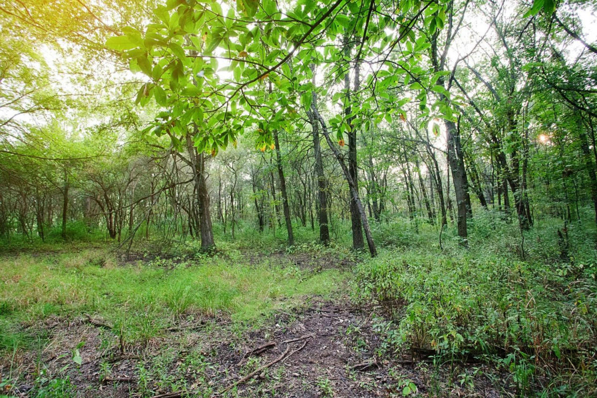 4364-LOT 17 166TH LANE, LOWELL, IN 46356, photo 1 of 4